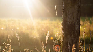 电话在线轰炸测试