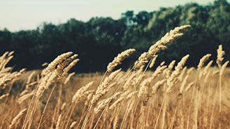 云呼电话轰炸机网页版